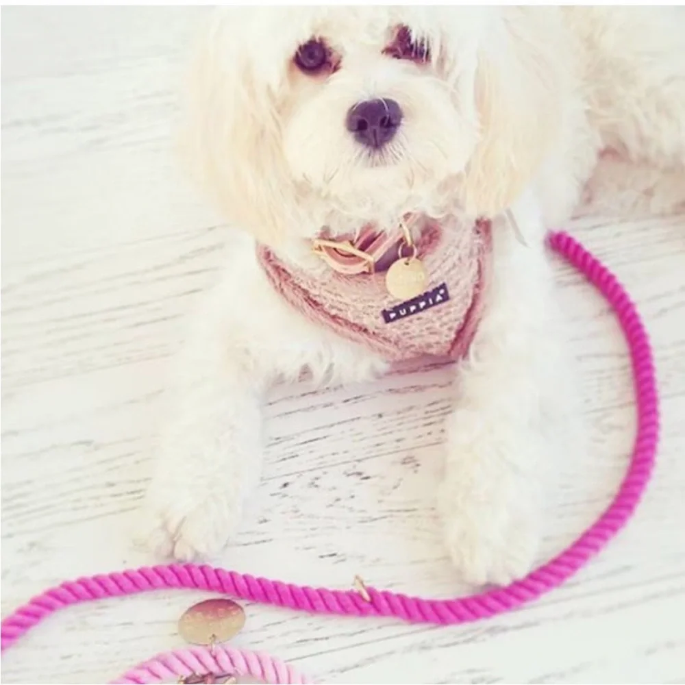 NWT Found My Animal Adjustable Ombre Rope Dog Leash in Magenta Size Medium